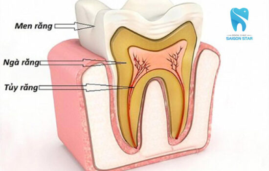 Tuỷ răng: Chức năng là gì? Viêm tuỷ răng có nguy hiểm không?